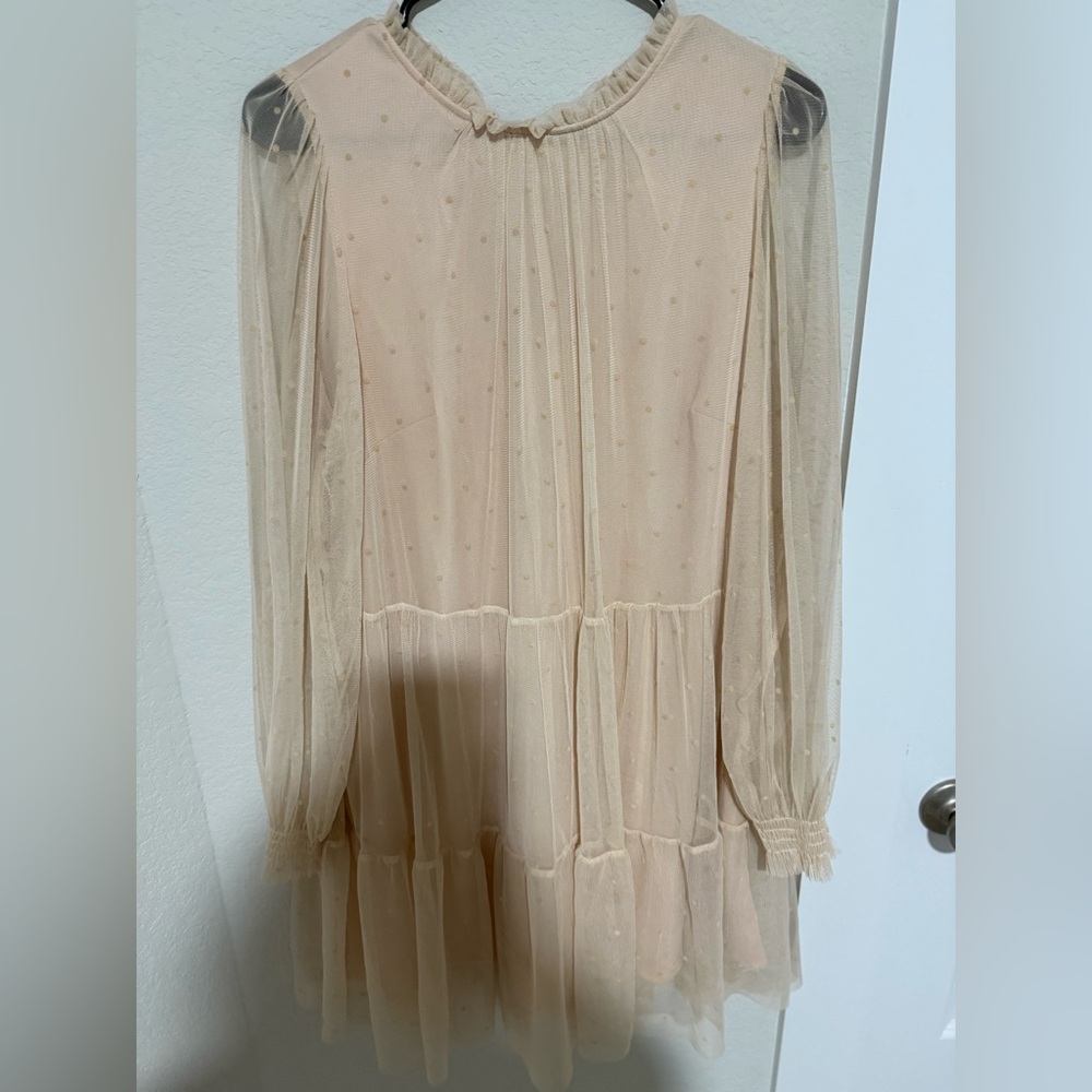 H&M Sheer Swiss Dot Babydoll Dress - Light Pink - Picture 6 of 9